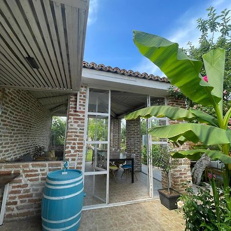 Casa Mediterana Două Mai Eksteriør bilde